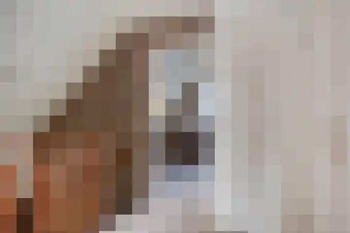 Constructieweg 3 Kampen thumbnail 30