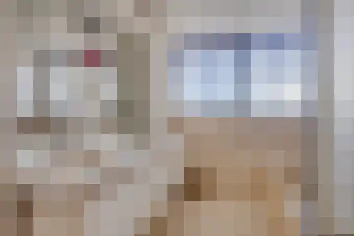 Constructieweg 3 Kampen thumbnail 34