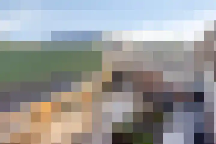 Constructieweg 3 Kampen thumbnail 43
