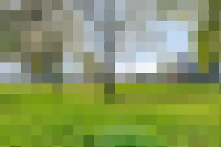 Constructieweg 3 Kampen thumbnail 45