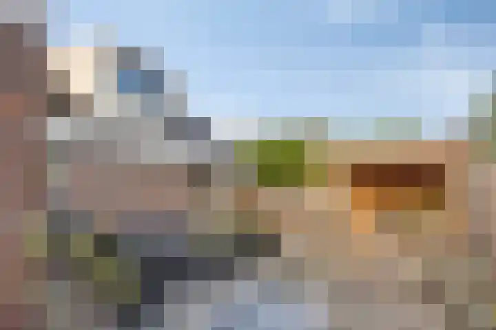 Constructieweg 3 Kampen thumbnail 5