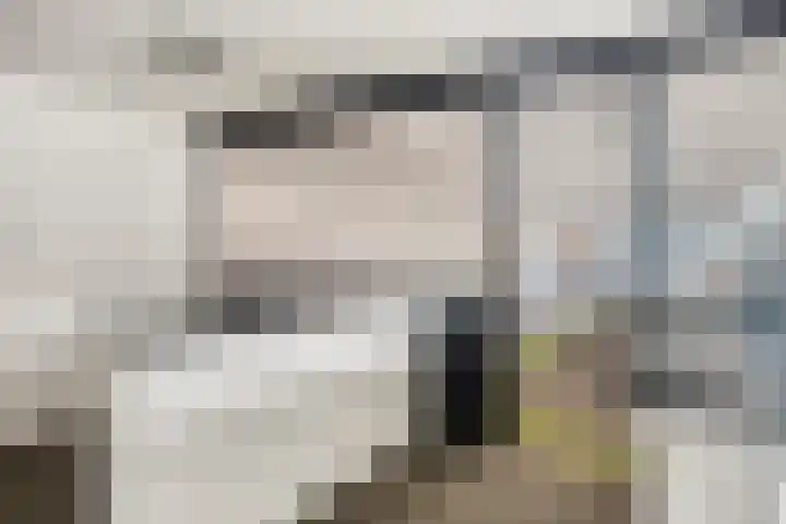 Constructieweg 3 Kampen thumbnail 52