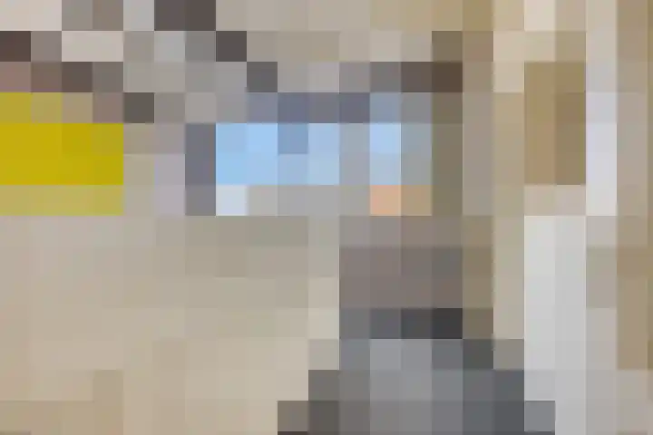 Constructieweg 3 Kampen thumbnail 58