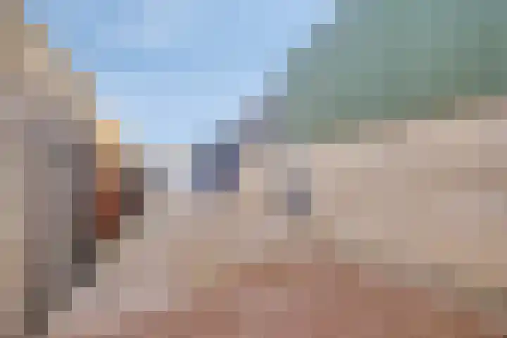 Constructieweg 3 Kampen thumbnail 61