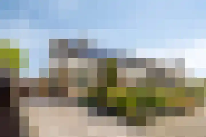 Constructieweg 3 Kampen thumbnail 8