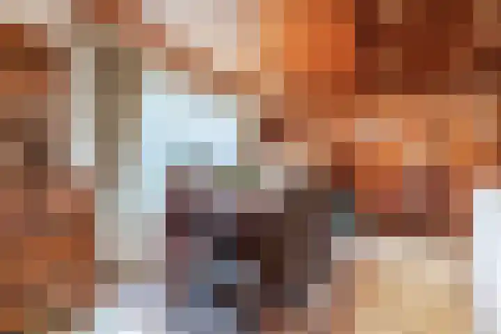 Contelmostraat 20 Ohé en Laak thumbnail 11