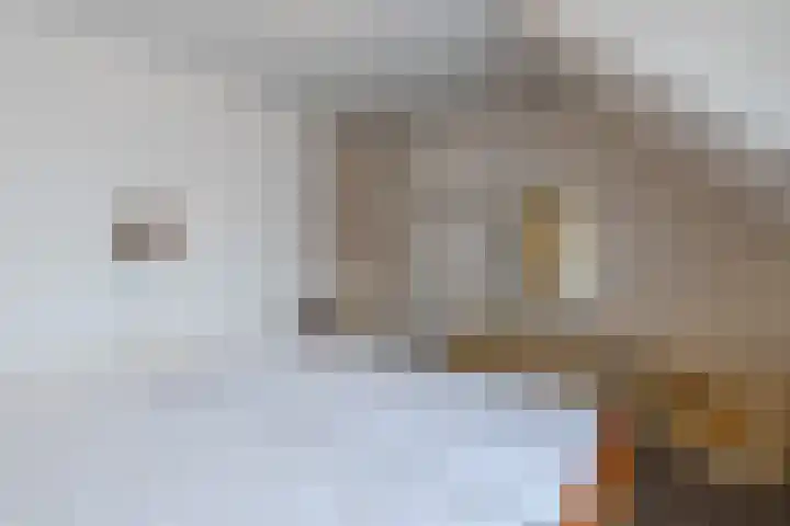 Contelmostraat 20 Ohé en Laak thumbnail 29