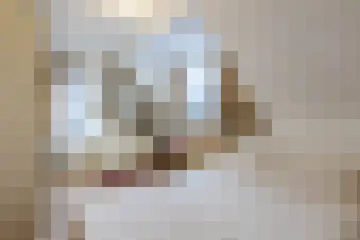 Contelmostraat 20 Ohé en Laak thumbnail 30