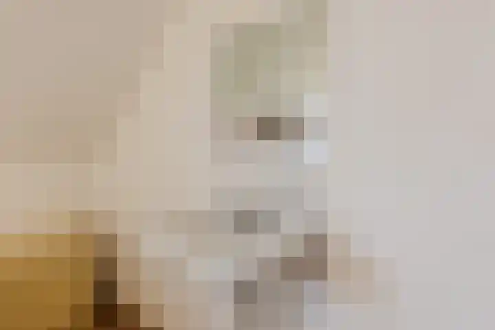 Contelmostraat 20 Ohé en Laak thumbnail 32