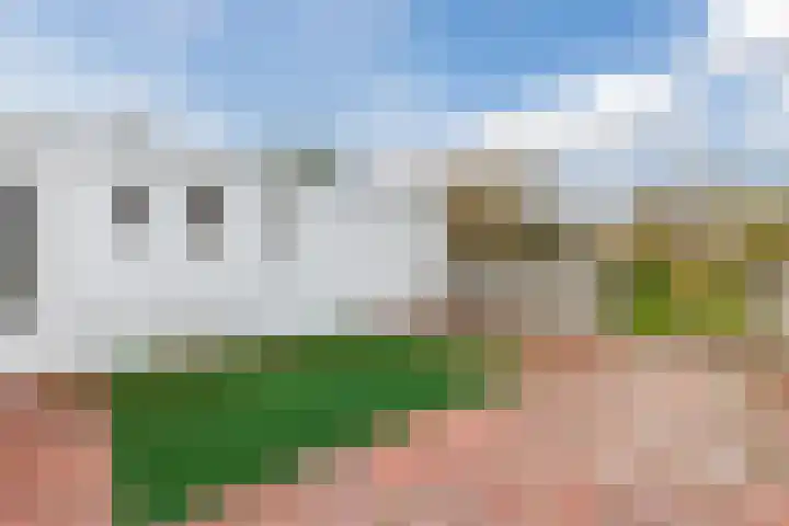 Contelmostraat 20 Ohé en Laak thumbnail 42