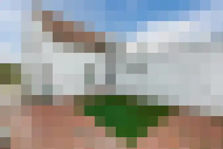 Contelmostraat 20 Ohé en Laak thumbnail 44