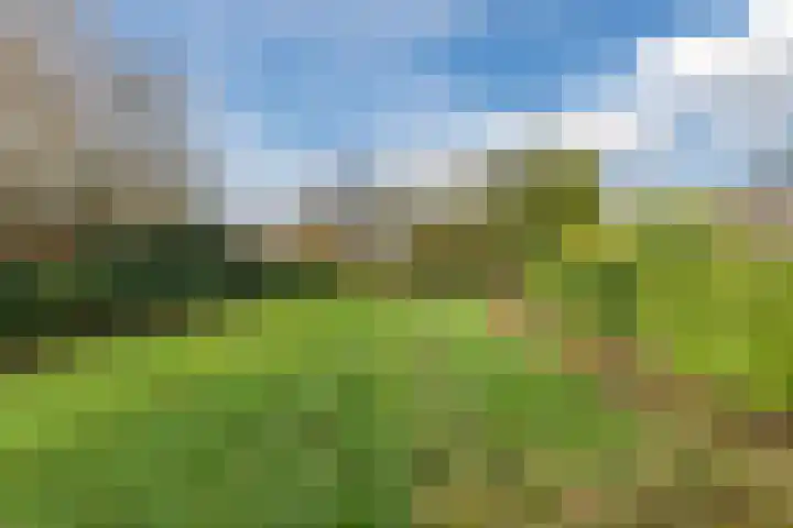 Contelmostraat 20 Ohé en Laak thumbnail 45