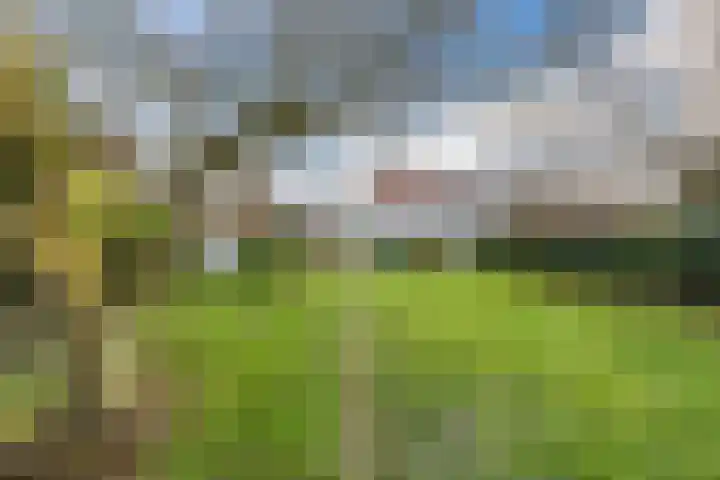 Contelmostraat 20 Ohé en Laak thumbnail 46