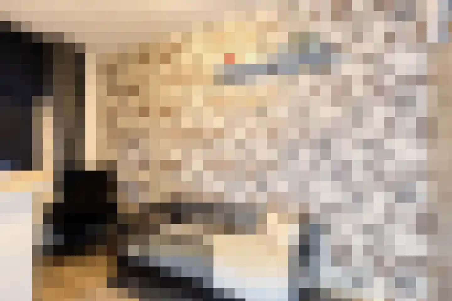 Content Hofstede 10 Assen thumbnail 15