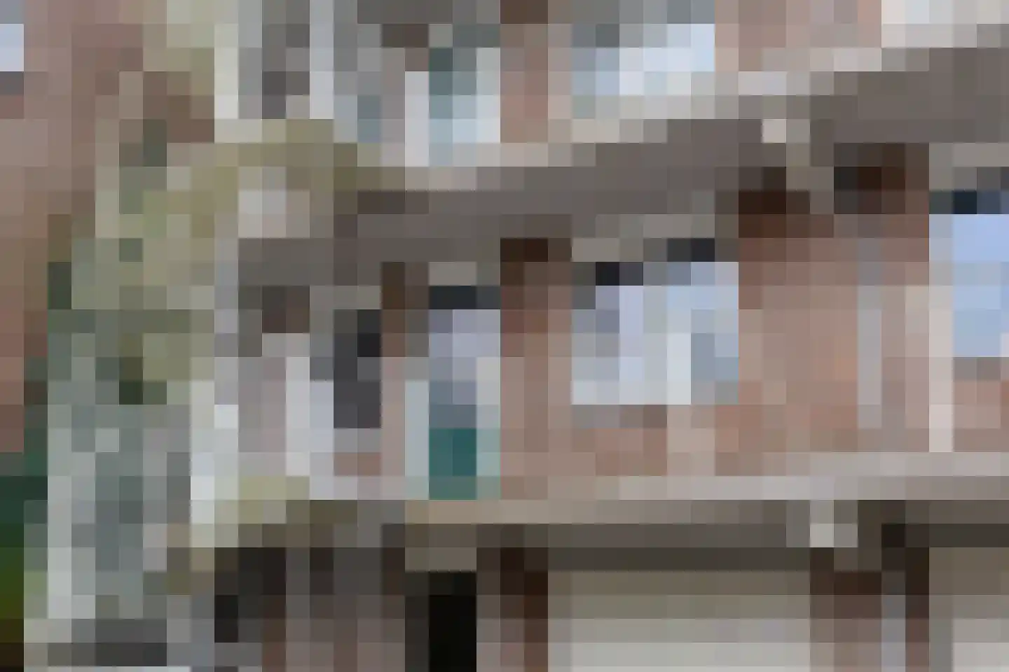 Content Hofstede 10 Assen thumbnail 18