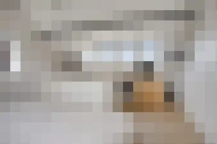Content Hofstede 2 Assen thumbnail 41