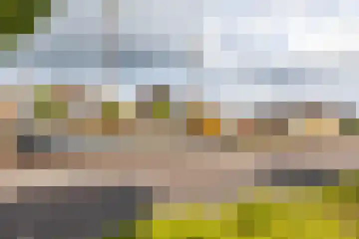 Content Hofstede 23 Assen thumbnail 4