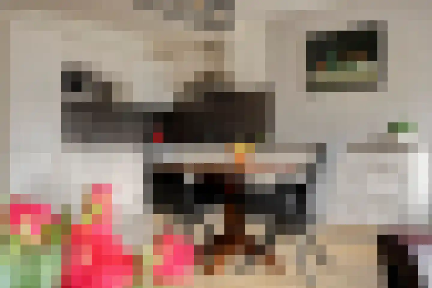 Content Hofstede 5 Assen thumbnail 11