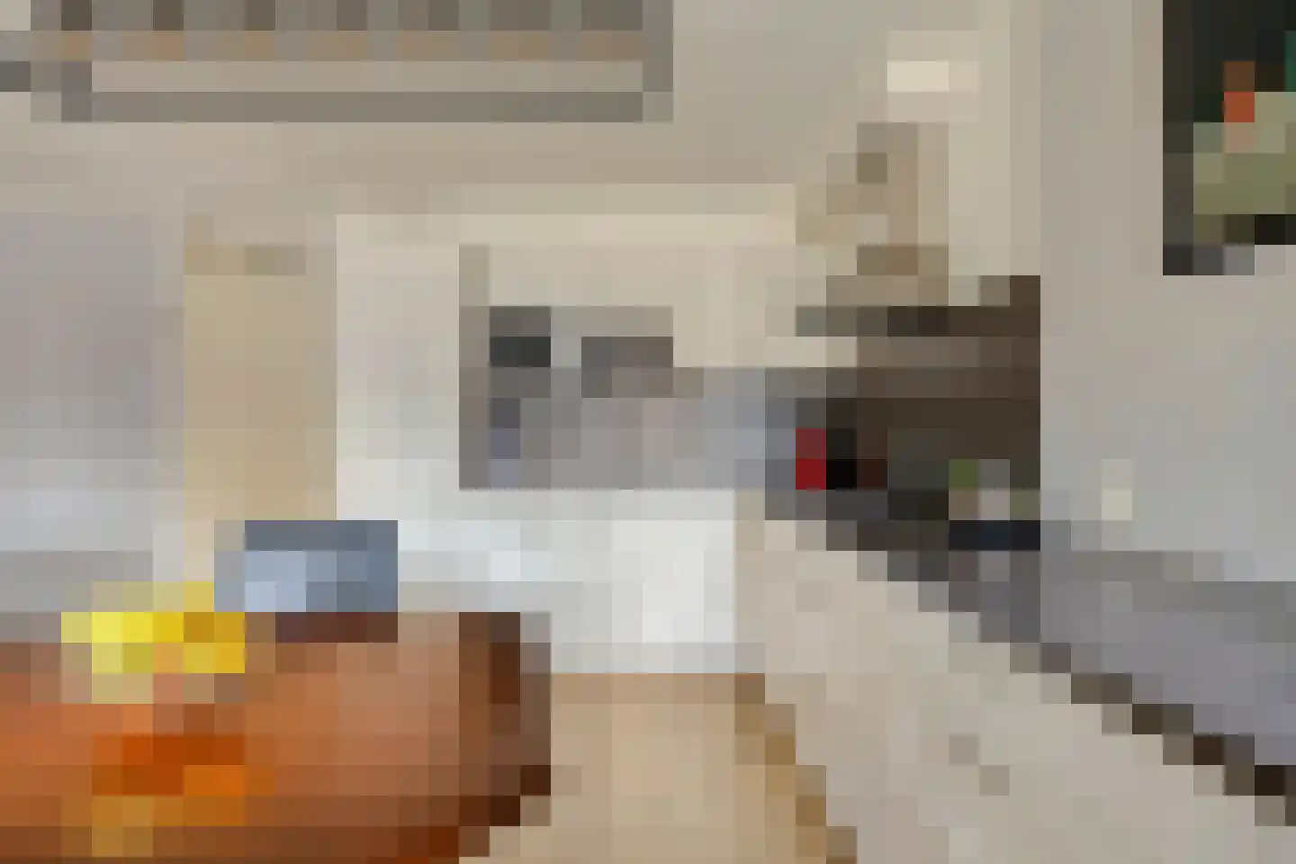 Content Hofstede 5 Assen thumbnail 13