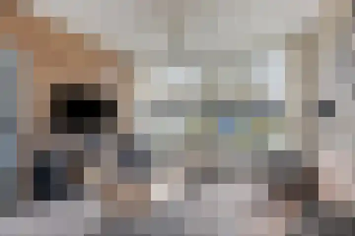 Continentenlaan 11 Veendam thumbnail 10