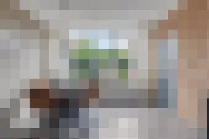 Continentenlaan 11 Veendam thumbnail 14