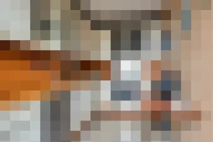 Continentenlaan 11 Veendam thumbnail 15
