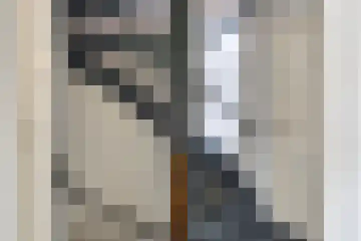 Continentenlaan 11 Veendam thumbnail 17