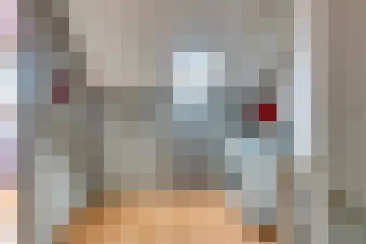 Continentenlaan 11 Veendam thumbnail 22