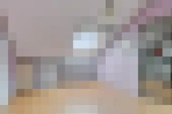 Continentenlaan 11 Veendam thumbnail 24