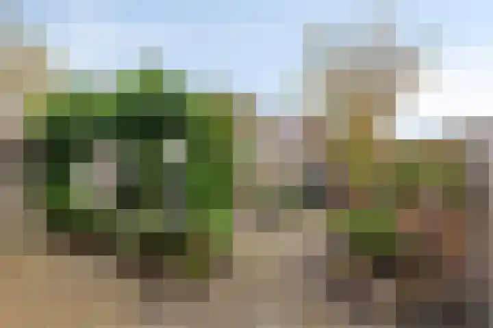 Continentenlaan 11 Veendam thumbnail 27