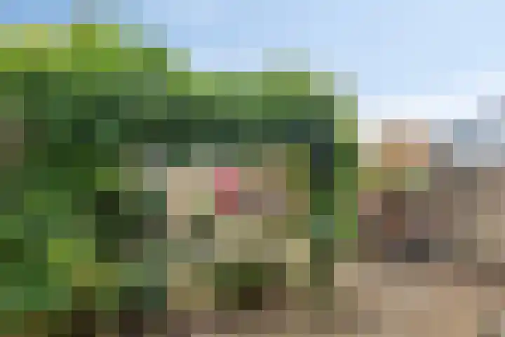 Continentenlaan 11 Veendam thumbnail 28