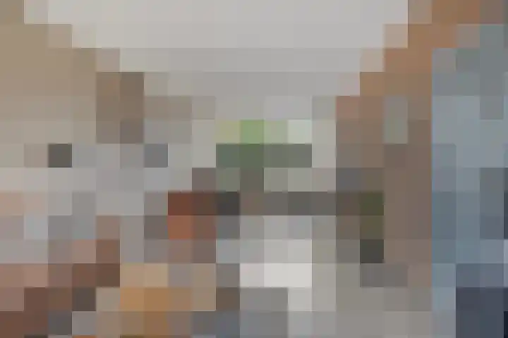 Continentenlaan 11 Veendam thumbnail 4