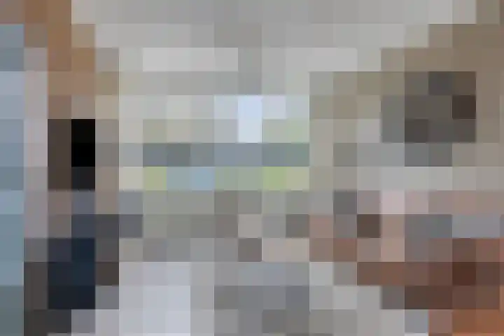 Continentenlaan 11 Veendam thumbnail 9