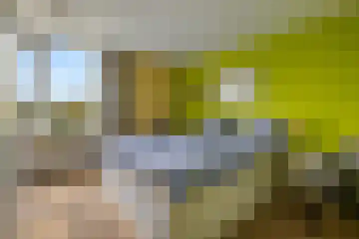 Continentenlaan 26 Veendam thumbnail 14