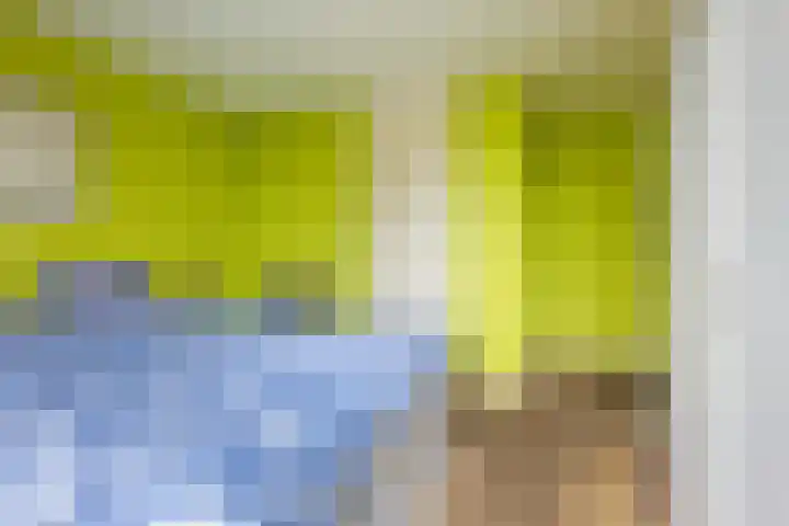 Continentenlaan 26 Veendam thumbnail 15