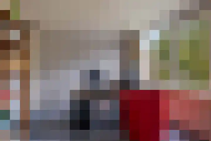 Continentenlaan 26 Veendam thumbnail 16