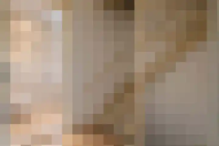Continentenlaan 26 Veendam thumbnail 20