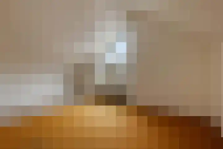 Continentenlaan 26 Veendam thumbnail 22