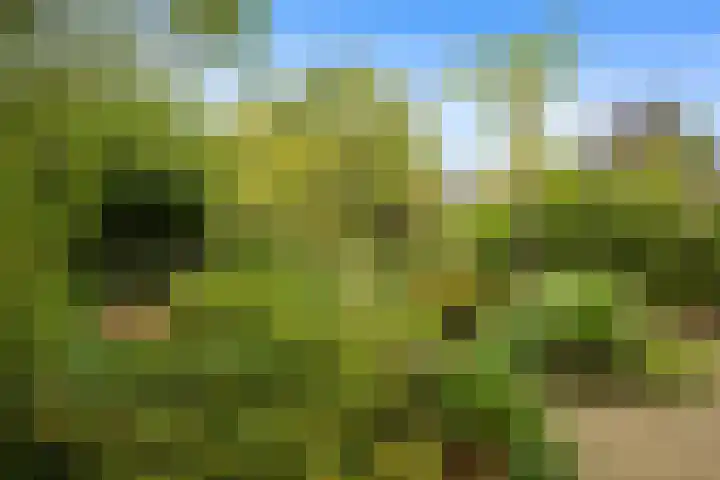 Continentenlaan 26 Veendam thumbnail 24