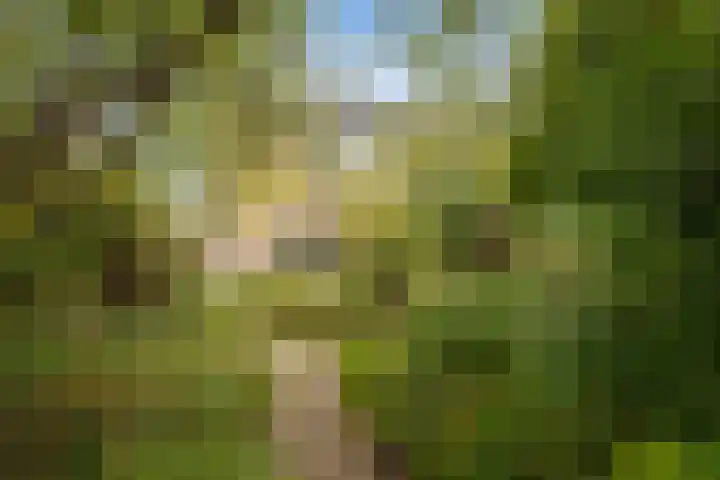 Continentenlaan 26 Veendam thumbnail 26