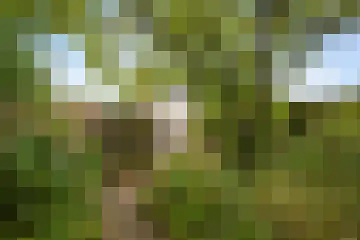 Continentenlaan 26 Veendam thumbnail 27