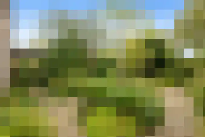 Continentenlaan 26 Veendam thumbnail 5