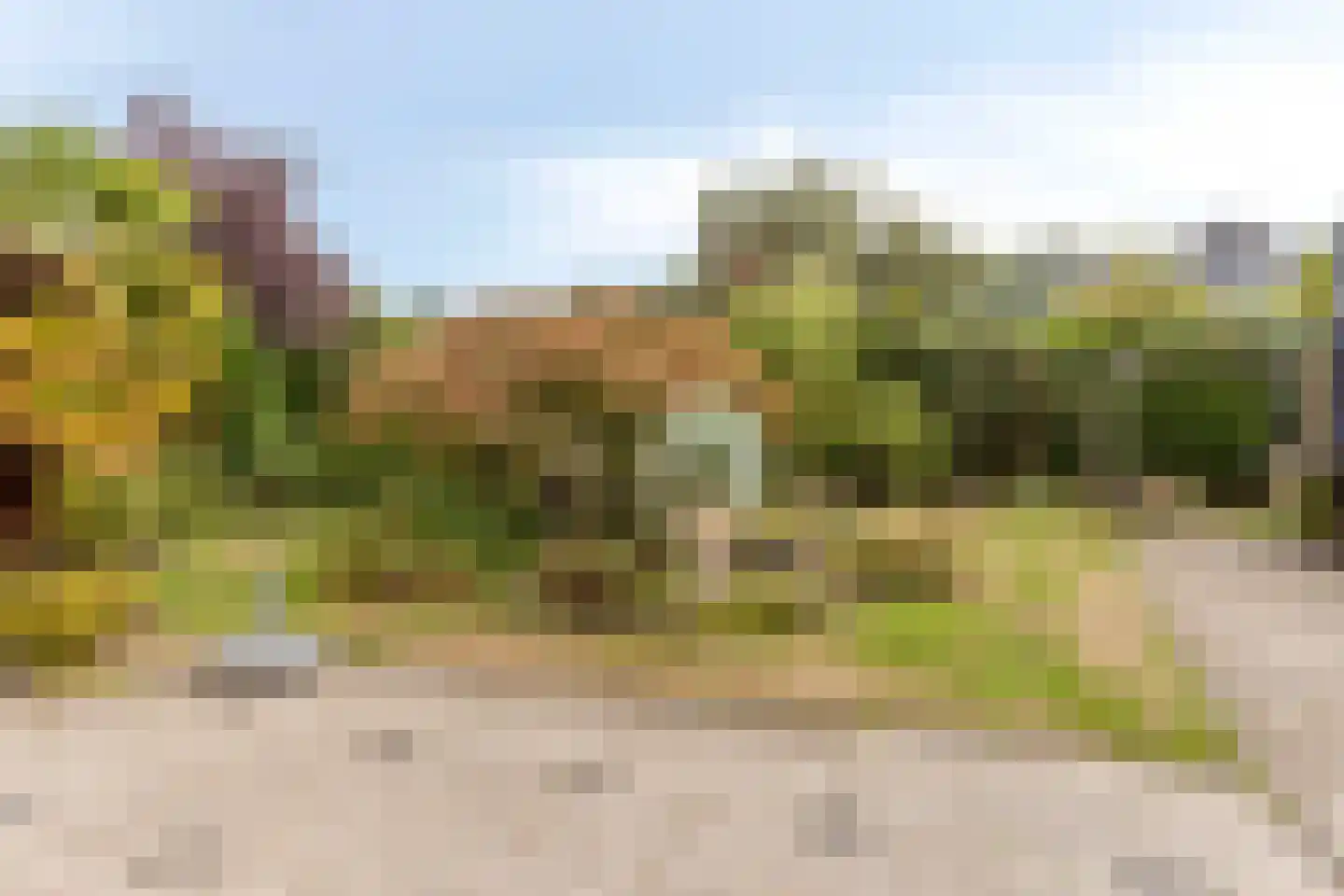 Contrabas 23 Etten-Leur thumbnail 21
