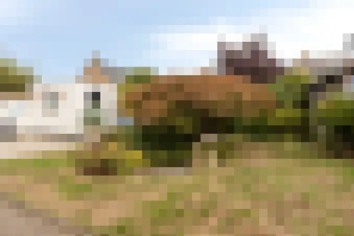 Contrabas 23 Etten-Leur thumbnail 23