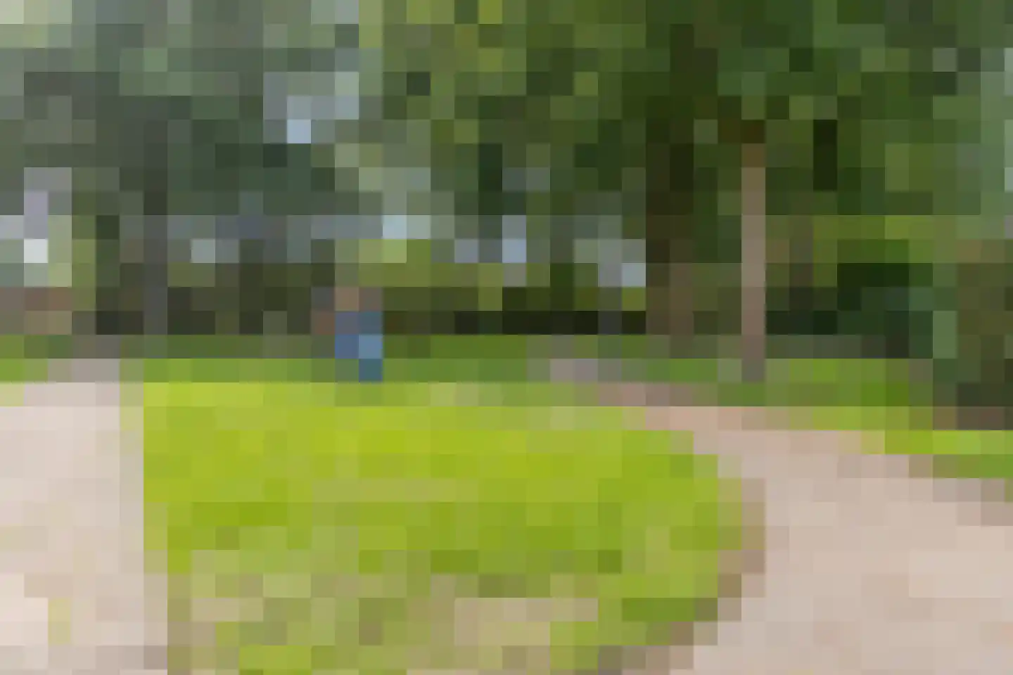 Contrabas 23 Etten-Leur thumbnail 29