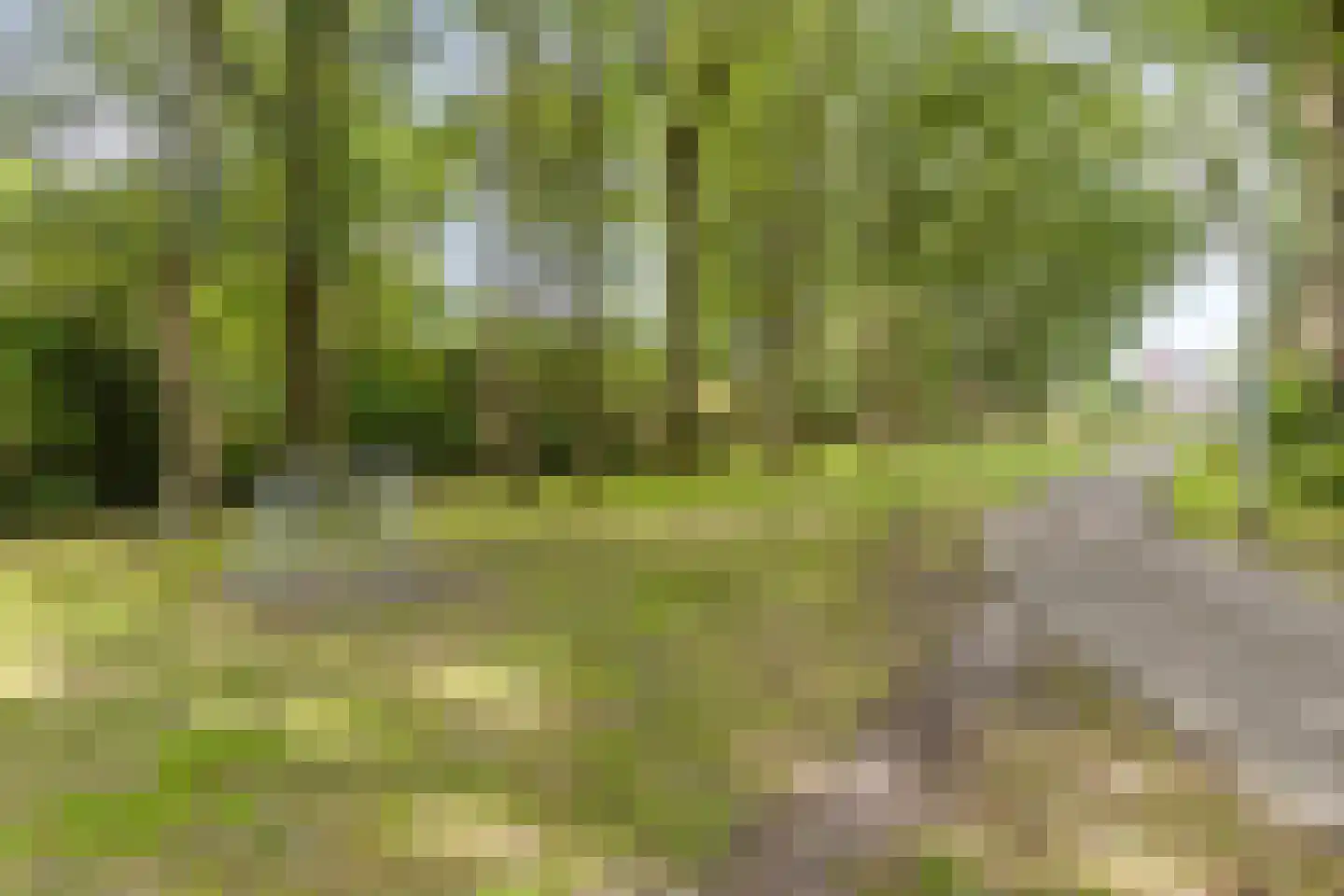 Contrabas 23 Etten-Leur thumbnail 30