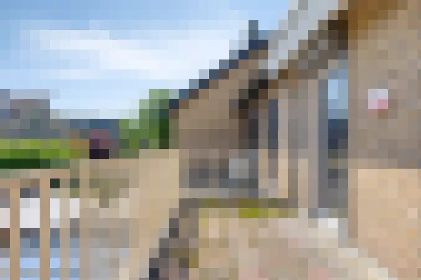 Contrabas 59 Etten-Leur thumbnail 37