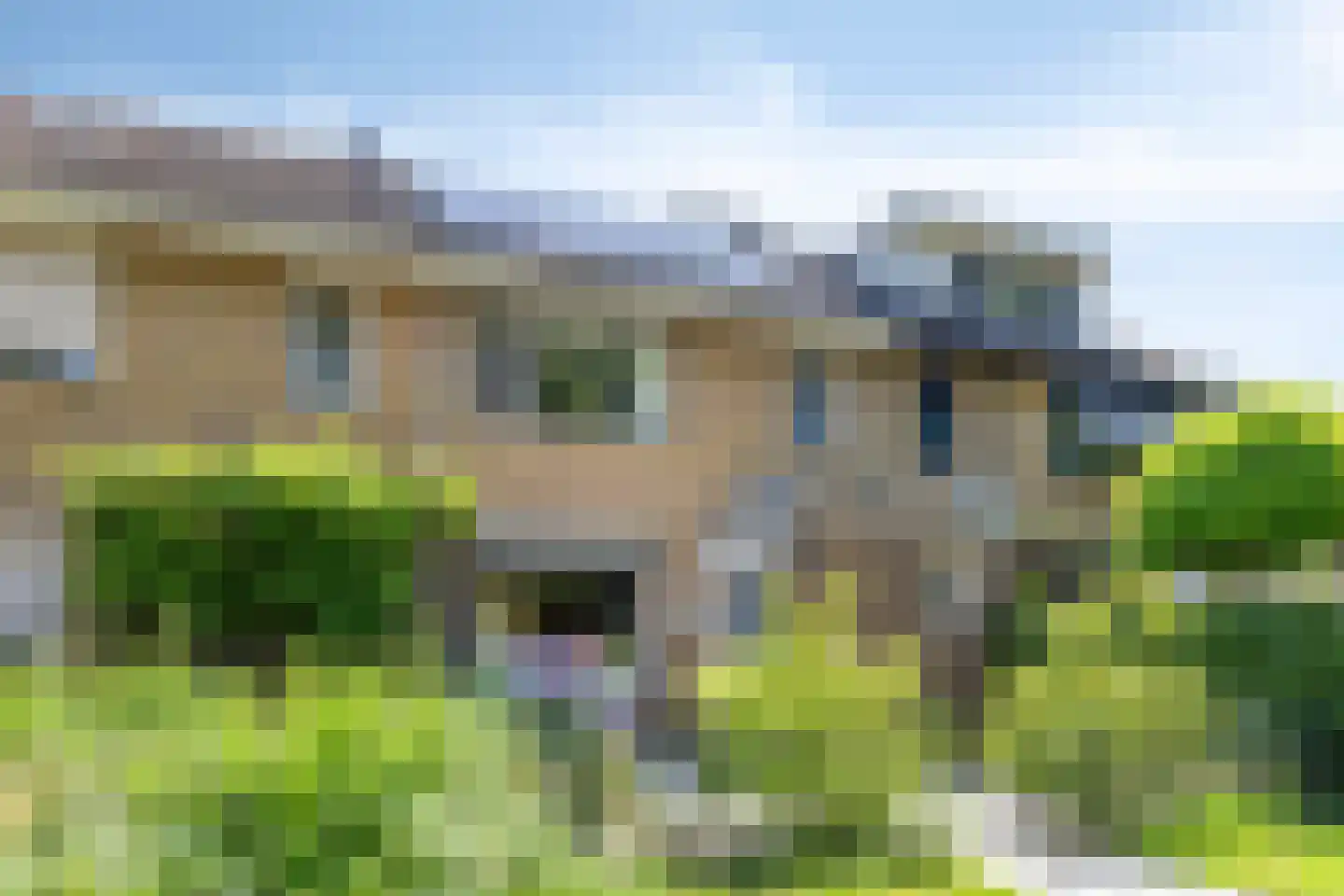 Contrabas 59 Etten-Leur thumbnail 6