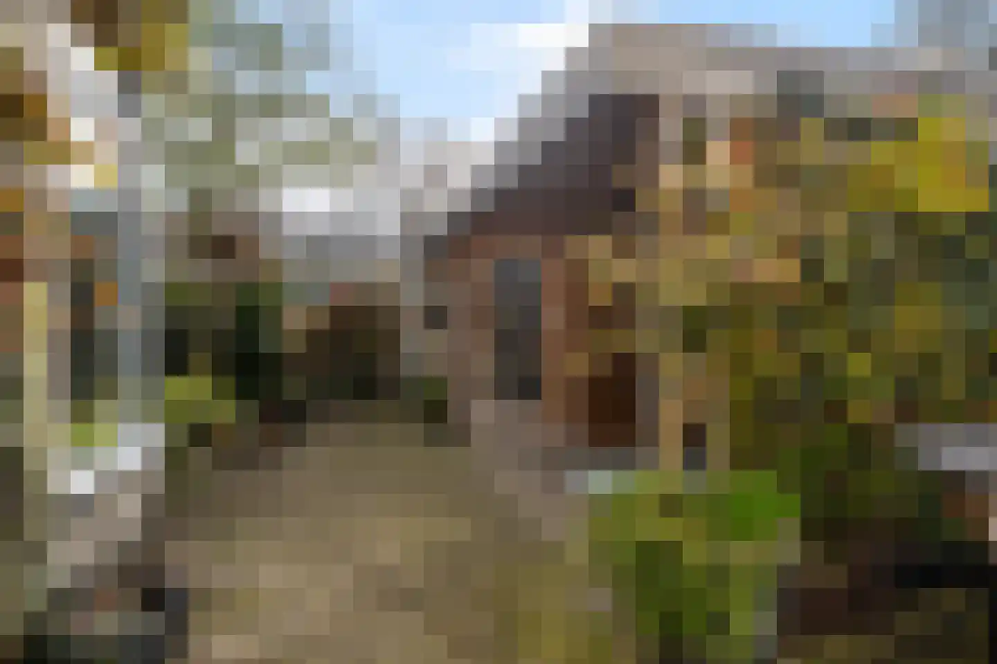 Contrabaserf 10 Amersfoort thumbnail 18
