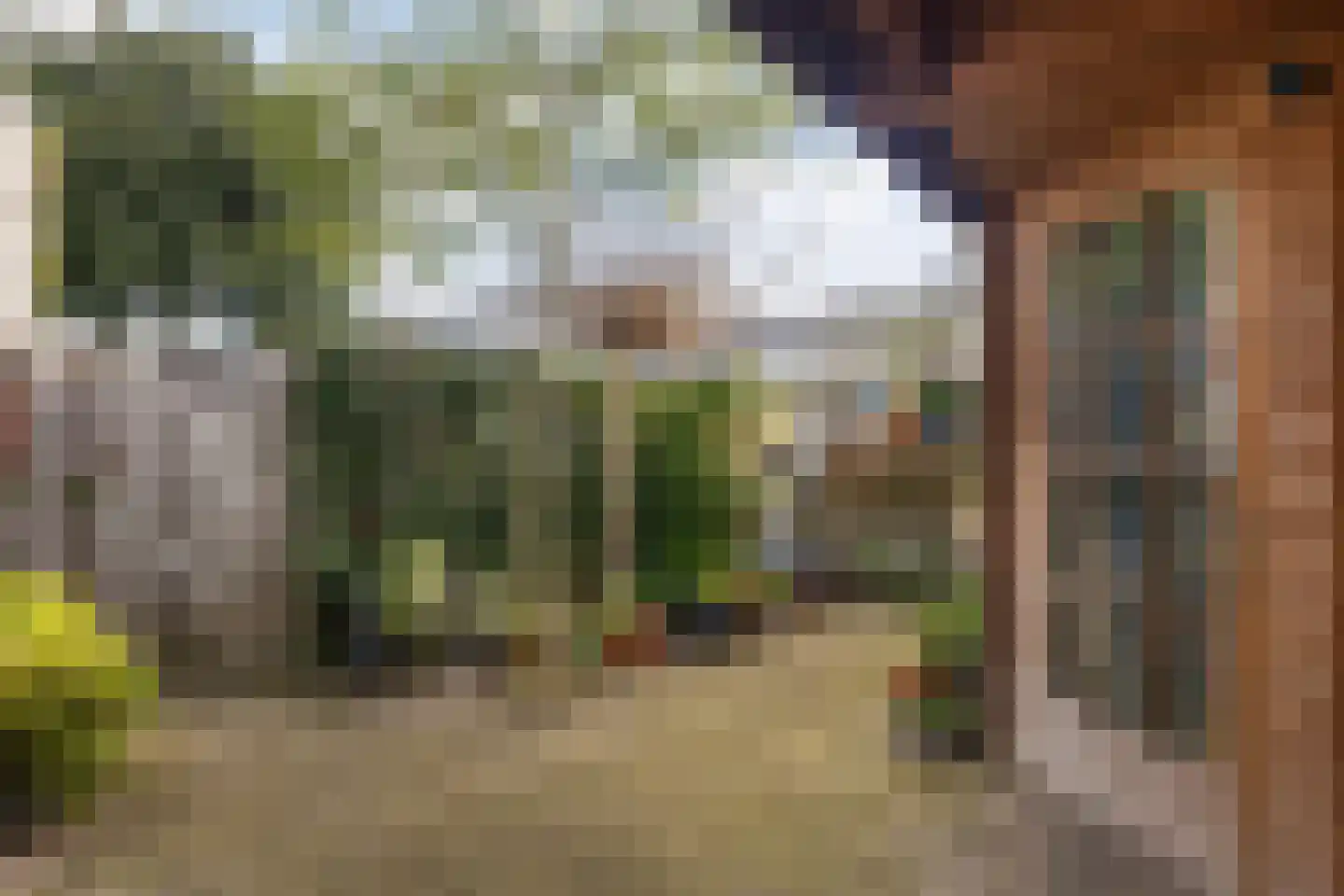 Contrabaserf 10 Amersfoort thumbnail 20